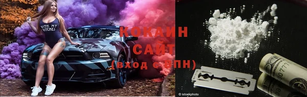 шишки Елабуга