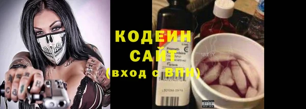 крисы Ельня