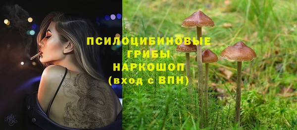 ECSTASY Дмитриев